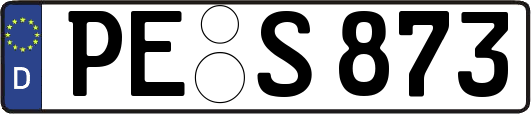 PE-S873