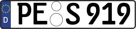 PE-S919