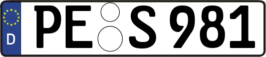 PE-S981
