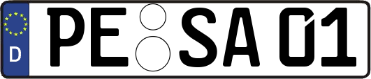 PE-SA01