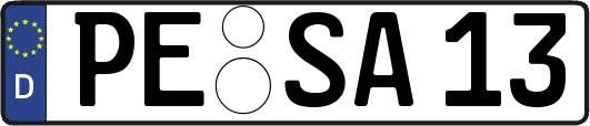 PE-SA13