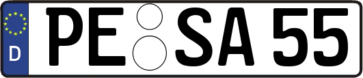 PE-SA55