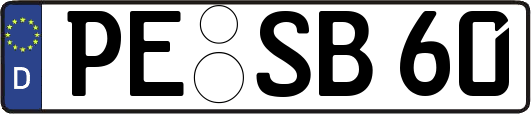 PE-SB60