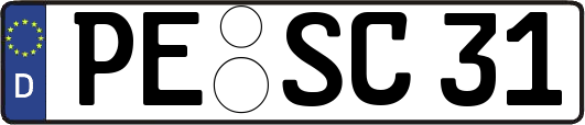 PE-SC31