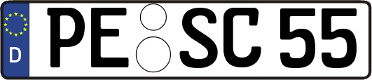 PE-SC55