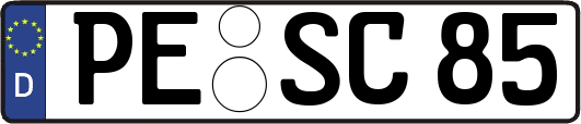 PE-SC85