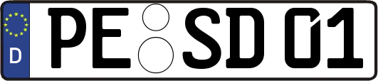 PE-SD01