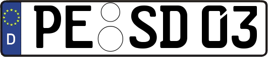PE-SD03