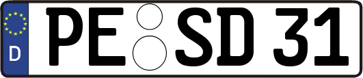 PE-SD31