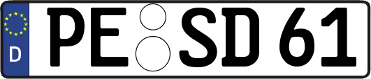 PE-SD61