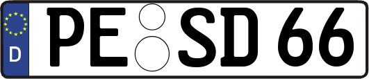 PE-SD66