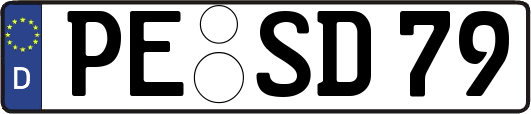 PE-SD79