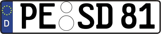 PE-SD81