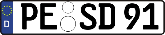 PE-SD91