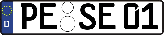 PE-SE01
