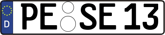 PE-SE13