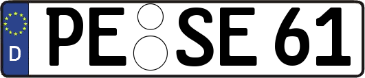 PE-SE61