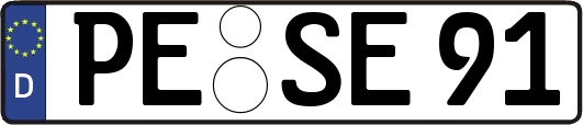 PE-SE91