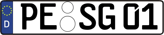PE-SG01