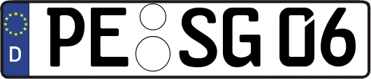 PE-SG06