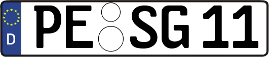 PE-SG11