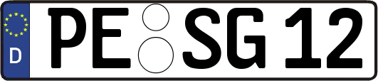 PE-SG12