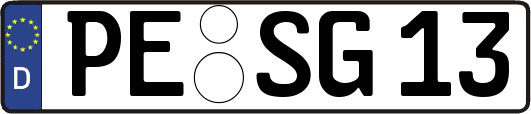 PE-SG13