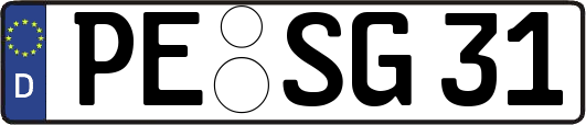 PE-SG31