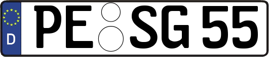 PE-SG55