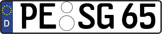 PE-SG65