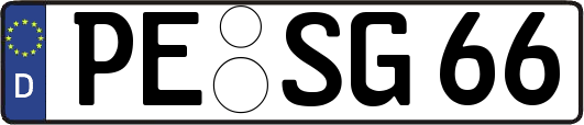 PE-SG66