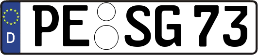 PE-SG73