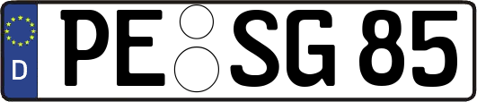 PE-SG85