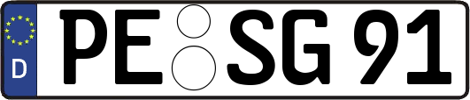 PE-SG91