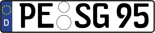 PE-SG95