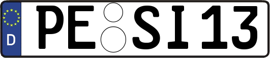 PE-SI13