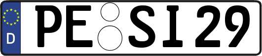 PE-SI29