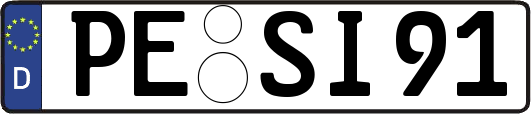 PE-SI91