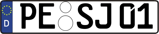 PE-SJ01