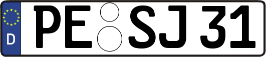 PE-SJ31