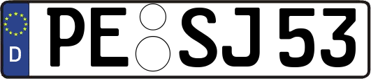 PE-SJ53
