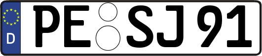 PE-SJ91