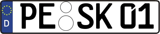 PE-SK01