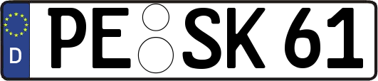 PE-SK61