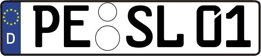 PE-SL01