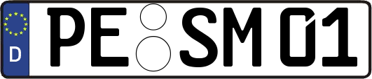 PE-SM01