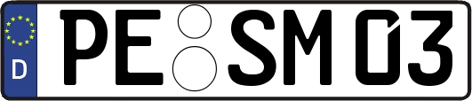 PE-SM03