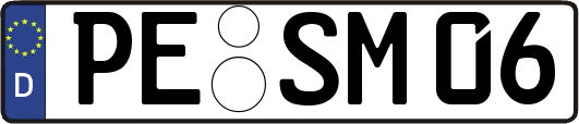PE-SM06