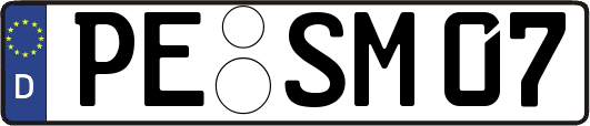 PE-SM07