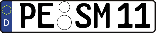 PE-SM11